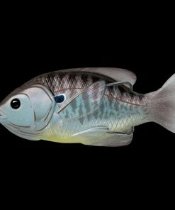 Frogs LIVETARGET Sunfish Hollow Body