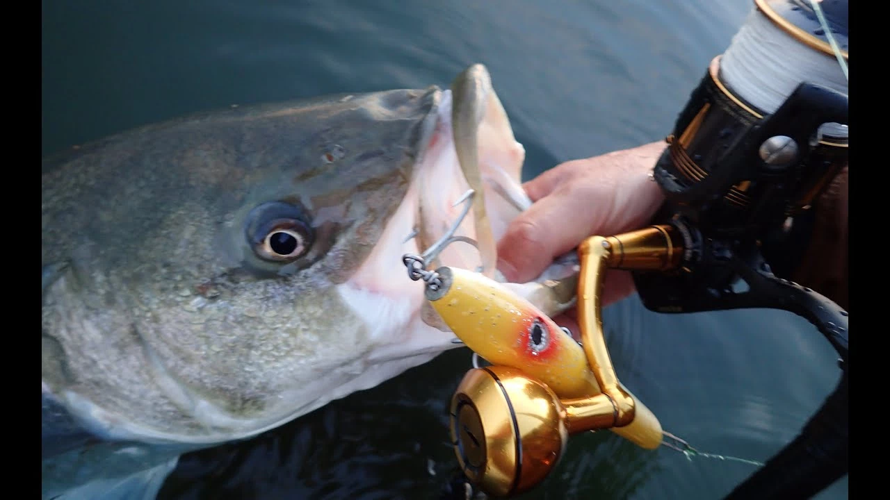 Penn Slammer III Spinning Reels - Image 7