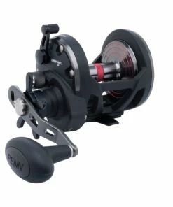 Conventional Reels Penn Warfare Star Drag Reels