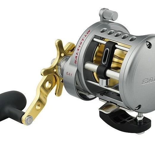 Conventional Reels Daiwa Saltist Levelwind Reels - Image 2