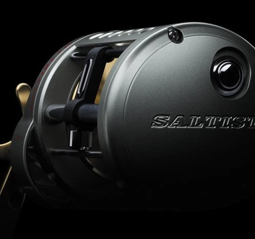 Conventional Reels Daiwa Saltist Levelwind Reels - Image 3