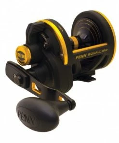Conventional Reels Penn Squall Lever Drag Reels