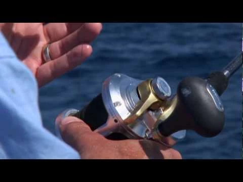 Conventional Reels Shimano Talica Two-Speed Lever Drag Reels - Image 2