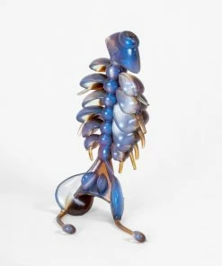 Soft Plastics Kasumi Design Dancing Bone Doctor Creature Bait