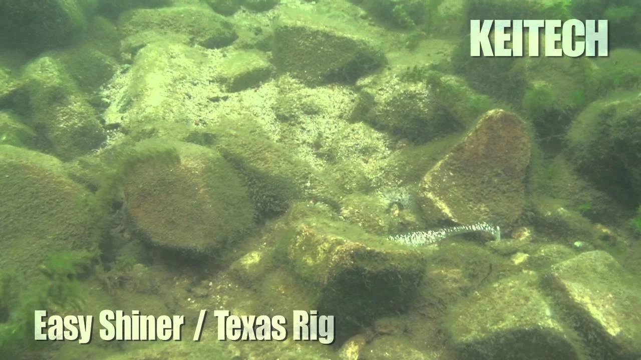 Keitech Easy Shiner Swimbaits - Image 4