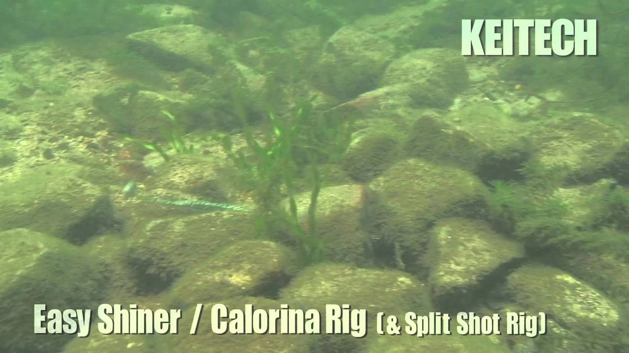 Keitech Easy Shiner Swimbaits - Image 5