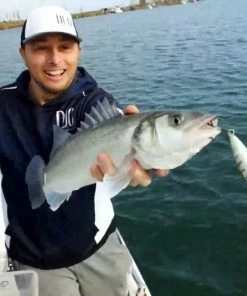 Gamakatsu Grouper Hooks