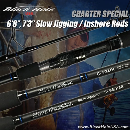 Jigging Casting Rods Black Hole USA Charter Special Conventional Rods - Image 3
